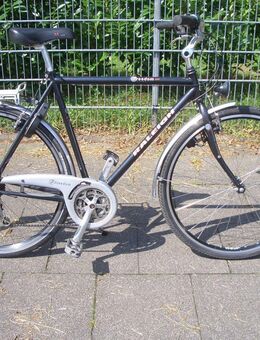 RALEIGH Freedom 300 Stadtrad / Tourenrad / Medium 58cm Rh / 28 Zoll Räder - Köln