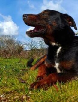 JACOB 💙 sucht Familienanschluss - Fahrenzhausen