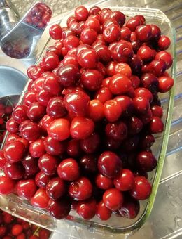 Brombeermarmelade zu verkaufen selbstgemacht - Lindern (Oldenburg)