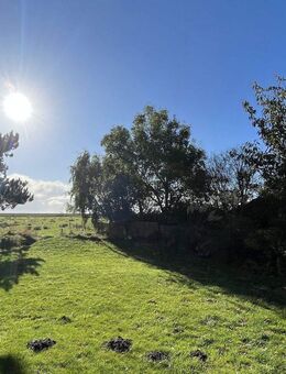 Grosszügiges Leben in der Natur unter Reet - Sylt