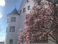 Wohnen im wunderschönen Schloss in Steinen - Steinen (Baden-Württemberg)