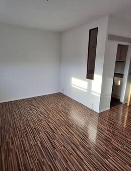 Schöne 1-Zimmer-Wohnung Greifswald - Greifswald