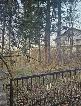 Sanierungsbedürftiges Mehrfamilienhaus mit viel Potenzial in ruhiger Lage - Passau