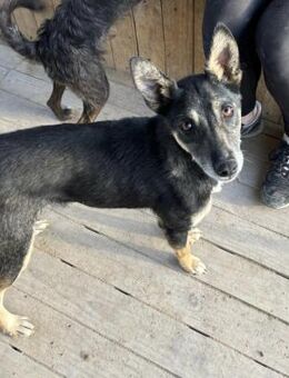 VITORIA WÜNSCHT SICH EIN EIGENES ZUHAUSE - Mönchengladbach