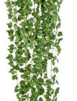 Kunstranke Englische Efeuranke, Creativ green, Höhe 170 cm, hängender Efeu, ohne Topf