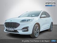 Ford Kuga, 2.5 ST-LINE 225PS FWD, Jahr 2022 - Halle (Saale)