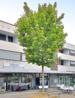 Großzügige 4-Zimmer-Wohnung mit Südterrasse, Balkon und Garage - ideal für Familien oder WGs - Heilbronn