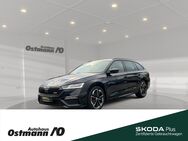 Skoda Octavia, Combi 180kw, Jahr 2020 - Niestetal