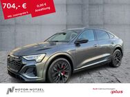 Audi Q8, Sportback 55 QU 2xS-LINE 21, Jahr 2023 - Hof