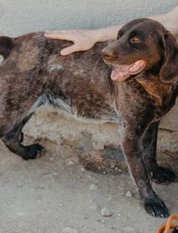 Liebenswerte Rita - Stuttgart