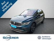 VW Tiguan, 2.0 TDI Move APP, Jahr 2024 - Mayen