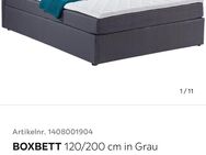 Boxbett - Singen (Hohentwiel)