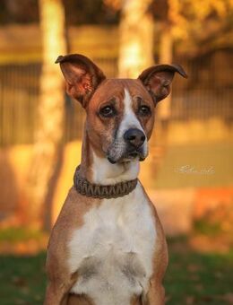 Rina - sportlich und aktiv - Salzwedel (Hansestadt) Zentrum