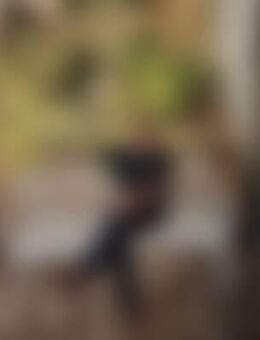 Wol*** - Schwäbisch Gmünd