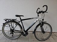 Verkaufeein Fahrrad der Marke Vionex 28Zoll 27Gang Aluminium Rahmen - Roding Zentrum