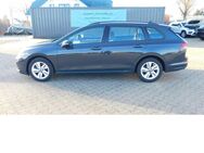 VW Golf Variant, 2.0 VIII Comfort Life TDI, Jahr 2021 - Vordorf