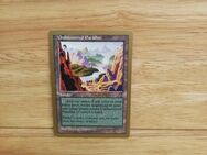 Magic The Gathering-Undiscovered Paradise - Nörvenich