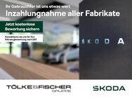 Skoda Octavia, 2.0 TDI Combi W Selection, Jahr 2024 - Krefeld