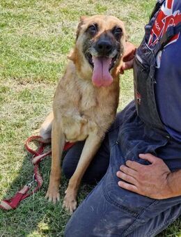 ‼️ NOTFALL ‼️ RUBY sucht 🆘🙏 - München