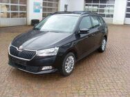 Skoda Fabia Combi - Waldheim