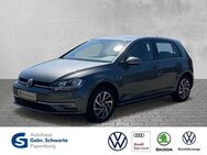 VW Golf, 1.4 TSI VII, Jahr 2017 - Papenburg