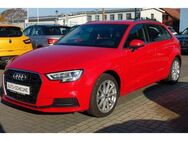 Audi A3 Sportback*Automatik*Bi-Xenon*Alu*Top Zustand* - Rostock