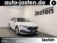 Skoda Octavia, Combi Style, Jahr 2023 - Monheim (Rhein)