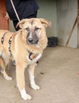 Fiona ist bereit für ein Leben mit dir - München