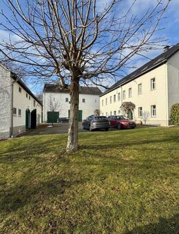 Wohnen & Vermieten: 6 Wohnungen, Dreiseitenhof & 6.123 m² Grundstück in Grünhainichen bei Chemnitz - Grünhainichen