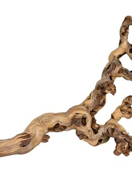 Trixie sandgestrahlte Weinreben - 40 - 60 cm