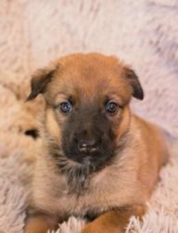 DUPLO - Kind sein so richtig genießen - Overath