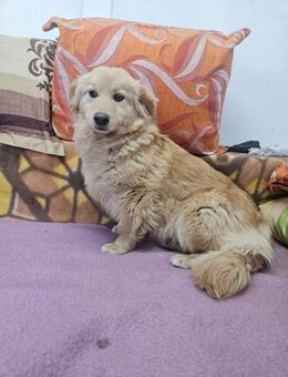 Sohn mit Mama herzlos ausgesetzt - Berlin