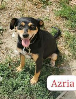 Klein mit großem Herzen - Wettenberg