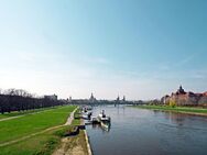 Elbwiesen vor der Tür - Dresden