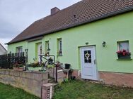 Einfamilienhaus mit großem Grundstück - Arzberg (Sachsen)