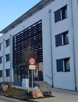 Exklusive 4-Zimmer-Attikawohnung mit traumhafter Aussicht in Bahlingen - Bahlingen (Kaiserstuhl)