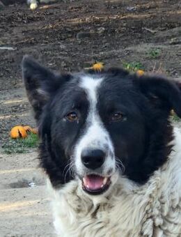 Claudia wartet auf euch in Kalabrien - Marienfließ