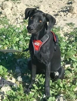 Suri verliert ihr Zuhause - Ludwigshafen (Rhein)