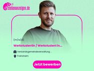 Werkstudentin / Werkstudent in der IT (m/w/d) - Freinsheim