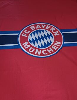 grosse Fc Bayern Decke, ca 2m x 1,46m6 - Stuttgart