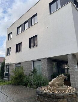Hochwertige Einzimmerwohnung im Zentrum - Bad Friedrichshall