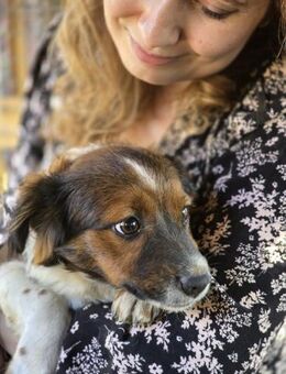 Penny sucht ein Zuhause - Olfen