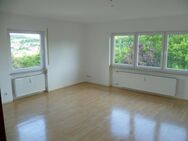 Schöne frisch renovierte 4 Zimmer Wohnung am Südhang - Ortenberg (Hessen)