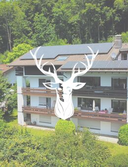Schönes 5-Familienhaus mit top Entwicklungspotential in bester Lage von Waldshut mit Rheinblick zu verkaufen - Waldshut-Tiengen