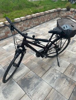Stevens Trekkingrad – wie neu! - Duchroth