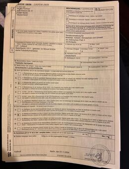 Griechische Landschildkröten 2024 - Berlin