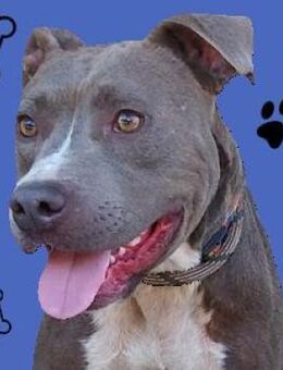 Finden wir für BLUE den 6er im Lotto? - Gefrees