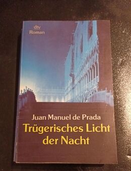 Trügerisches Licht der Nacht: Roman von Juan Manuel de Prada - Essen