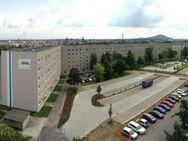 Lichtdurchflutete Wohnung mit tollem Ausblick! - Görlitz