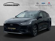 Ford Focus, Active X MHEV digitales, Jahr 2024 - Bremerhaven